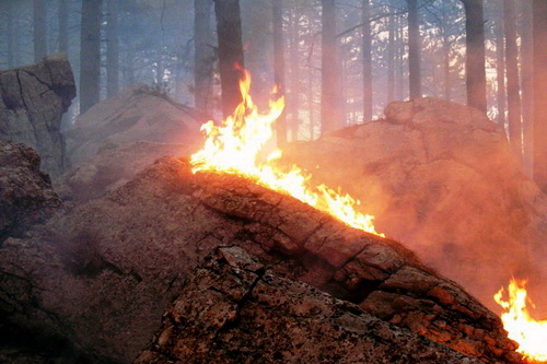 Леса горят «во славу» Отечества