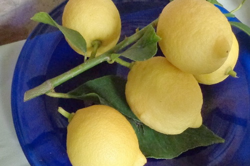 Барыши с ароматом лимона