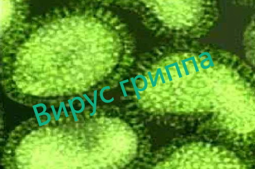 Крым ждет вакцин от гриппа