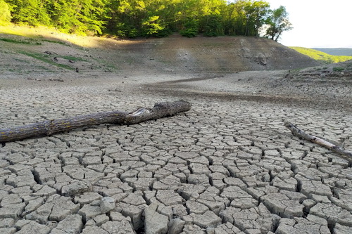 С засухой помогут справиться летний паводок и сооружение водозаборов