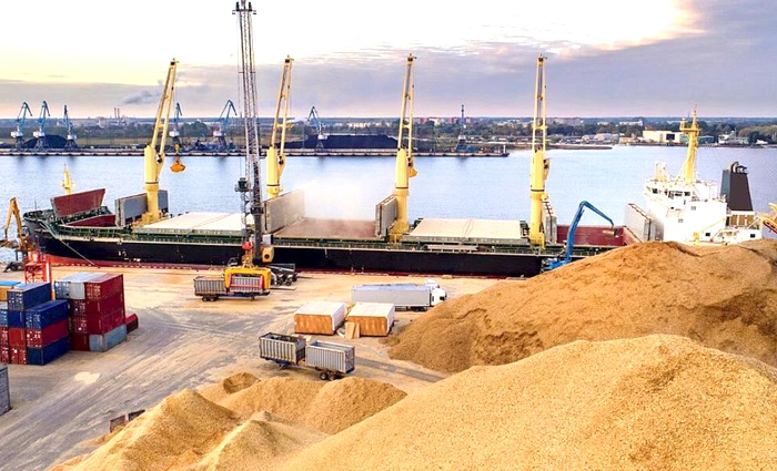 Как работает без России новый зерновой коридор