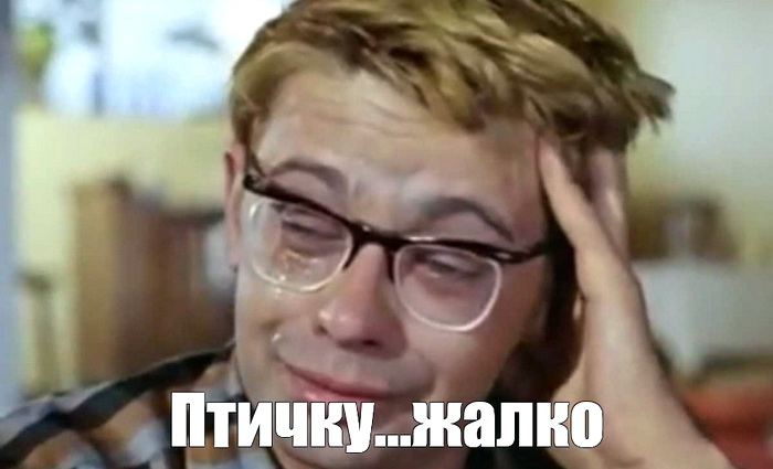 %D1%88%D1%83%D1%80%D0%B8%D0%BA-%D0%BF%D1%82%D0%B8%D1%87%D0%BA%D1%83-%D0%B6%D0%B0%D0%BB%D0%BA%D0%BE.jpg