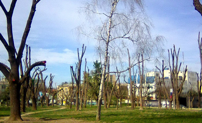Парк Шевченко сегодня — как бельмо на глазу Симферополя