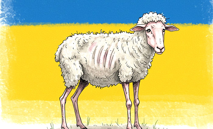 Овцу обрить или натравить: Европа не хочет остаться в дураках