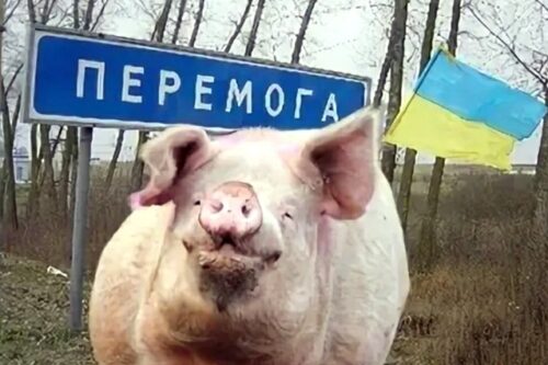 Нация-агнец, или Фабрика «сопротивленцев»