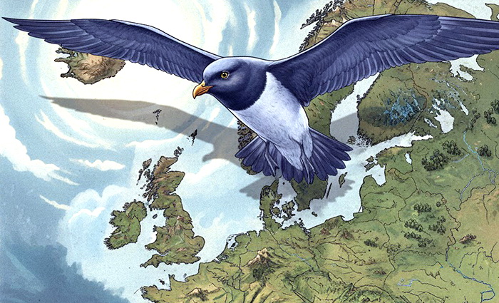 Где начало, где конец – кто узнает, молодец!