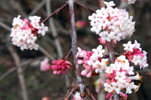 Россия нащупала себя