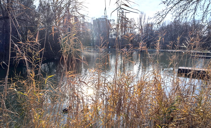 Зима, снова на яйцах!..