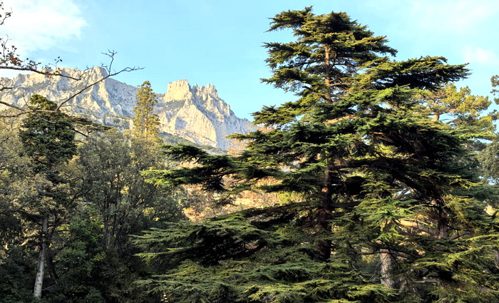 У моря в декабре