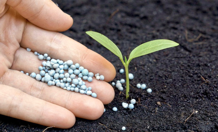 Как Украина помогает российским производителям удобрений