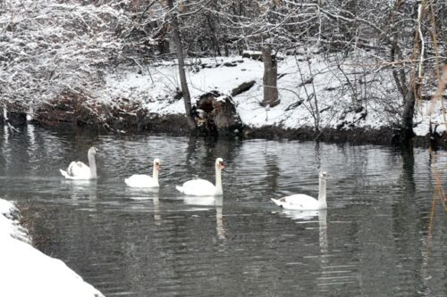 Энергетическое оружие России