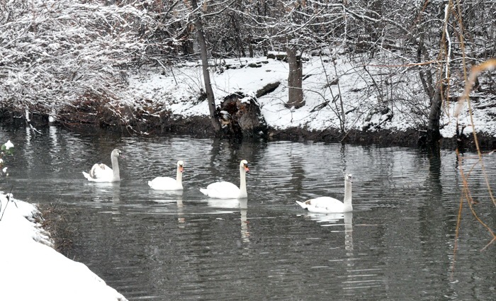 В Крыму снова снег!