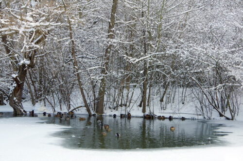 Записки «уголовника»