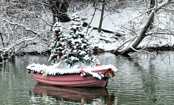 Чирки, нырки и другие