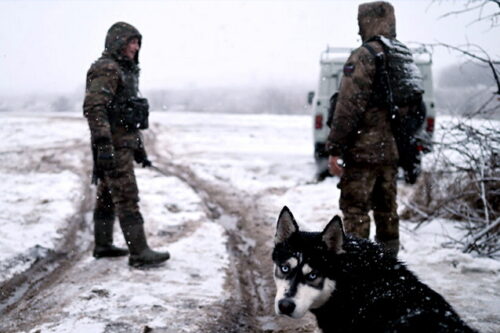 Невероятный ястреб Лавров