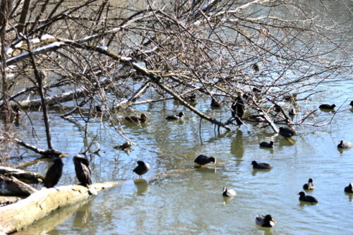 Новые раунды