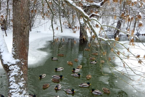 Неугасимая память: слово о юных героях