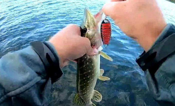 Безусловные рефлексы Евросоюза при взгляде на Россию