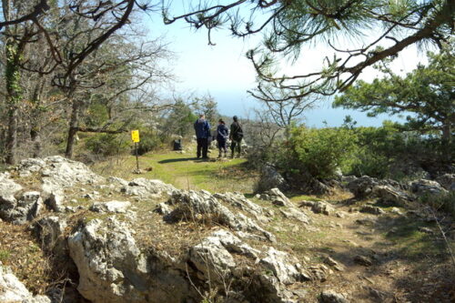 Все готовятся, но никто не готов
