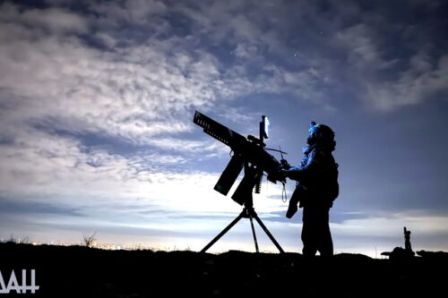 А ну-ка, если завтра из вас сделают… чучело?