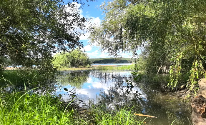 Отцвела черемуха…