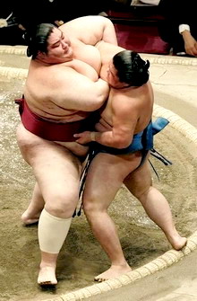 Сумо - философия, которую крымчане с успехом постигают