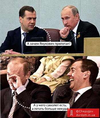 Слоновья грация Януковича